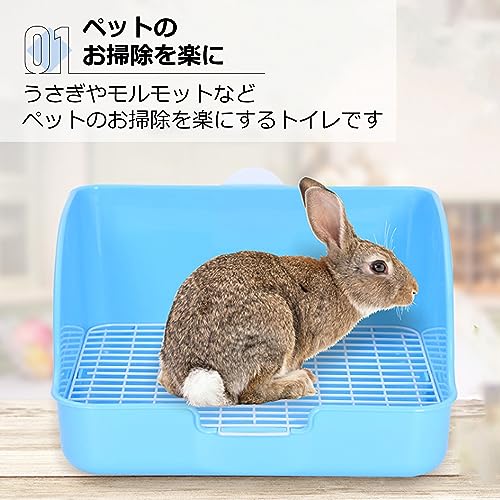 うさぎトイレ 3