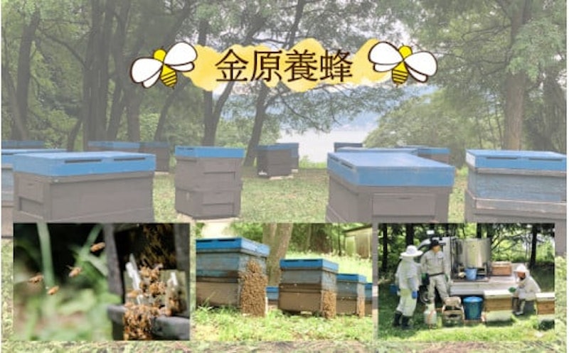 信州産蜂蜜 百花 4