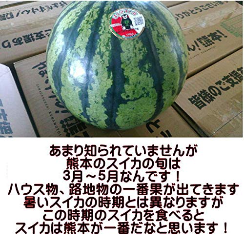 訳ありスイカ 4