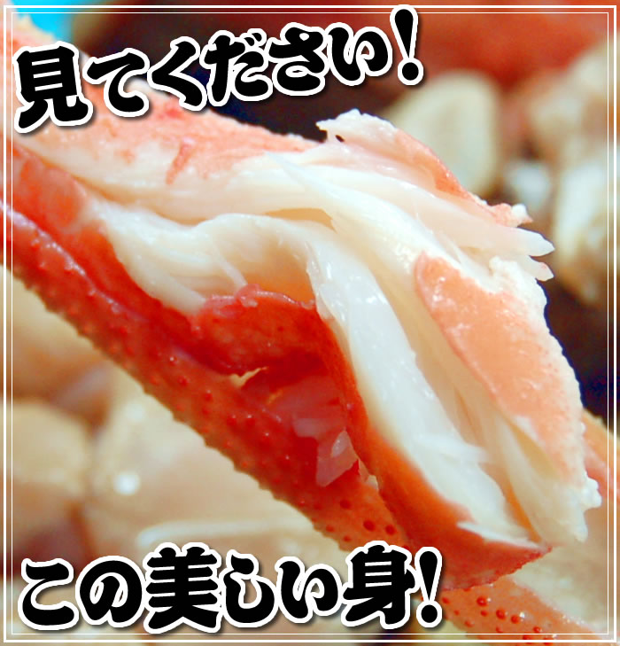 タグ付き茹で松葉がに 3