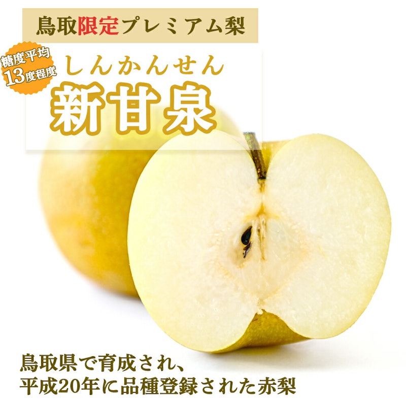 小玉 ハウス新甘泉 2
