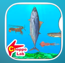 美味しい！海の生き物図鑑 ～かんたん図鑑放置シリーズ～ 1
