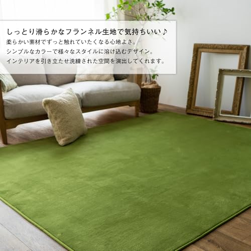 NAGOMI 2