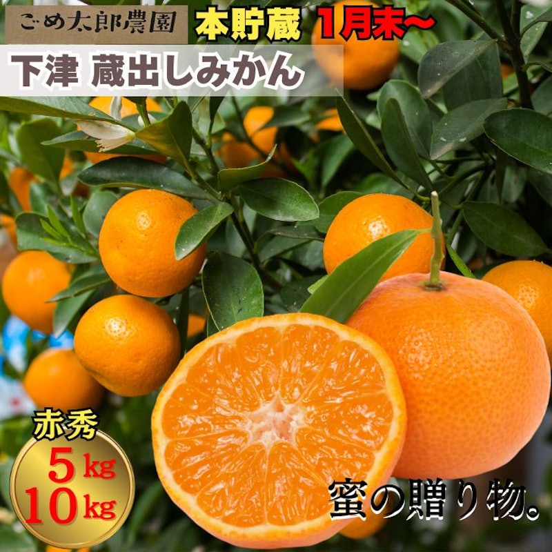 下津 蔵出しみかん 1