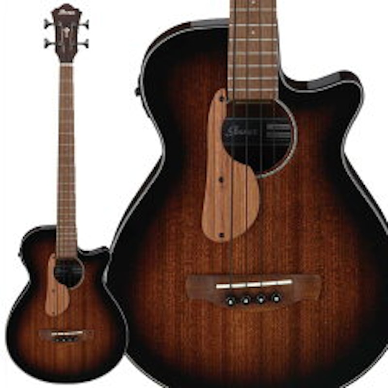 Ibanez AEGB24E 1