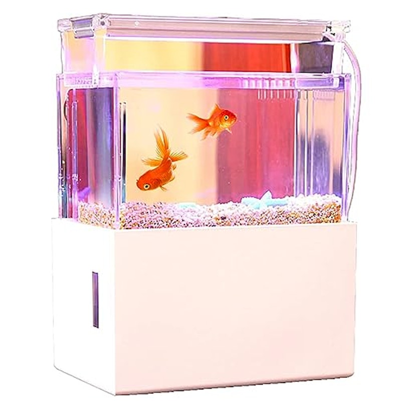 水槽セット 1
