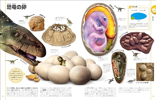 改訂版　恐竜と古代の生き物図鑑 4