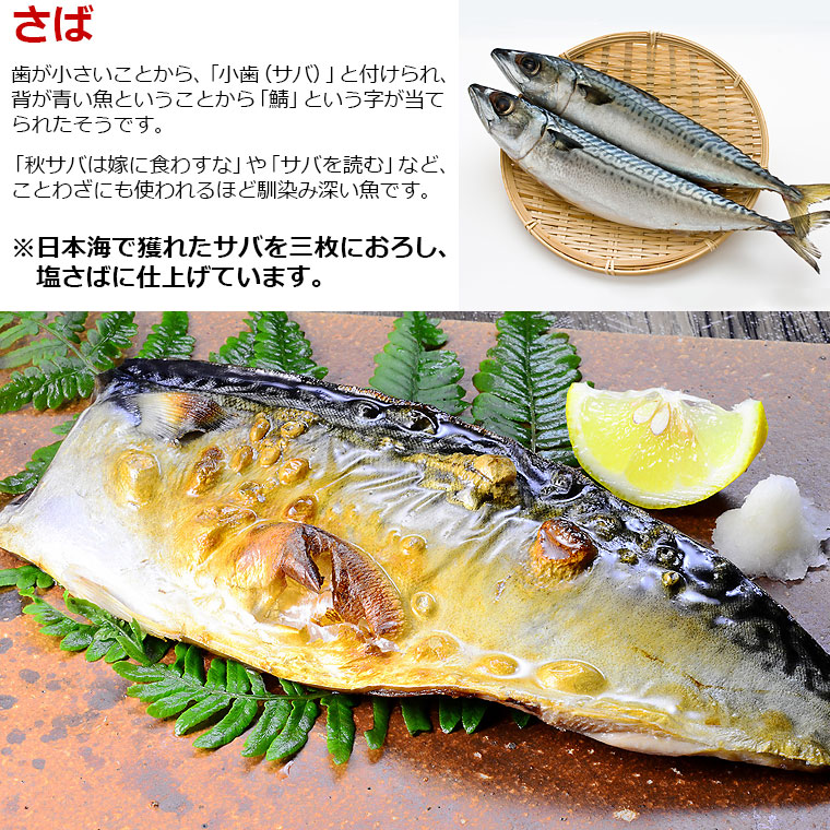 干物と西京漬7種セット 8