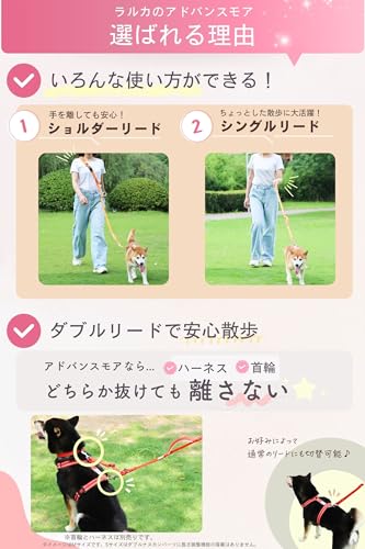 犬用リードのおすすめ人気ランキング【2026年10月】 | マイベスト