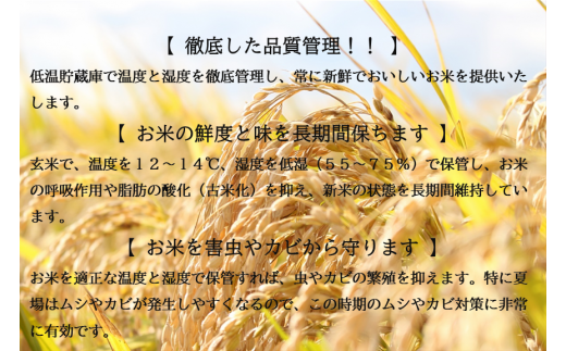 はえぬき 3