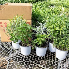 Dpjldhvpvg3hem Dpjldhvpvg3hem