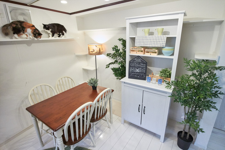 21年 東京都内の女性専用シェアハウスのおすすめ人気ランキング10選 Mybest