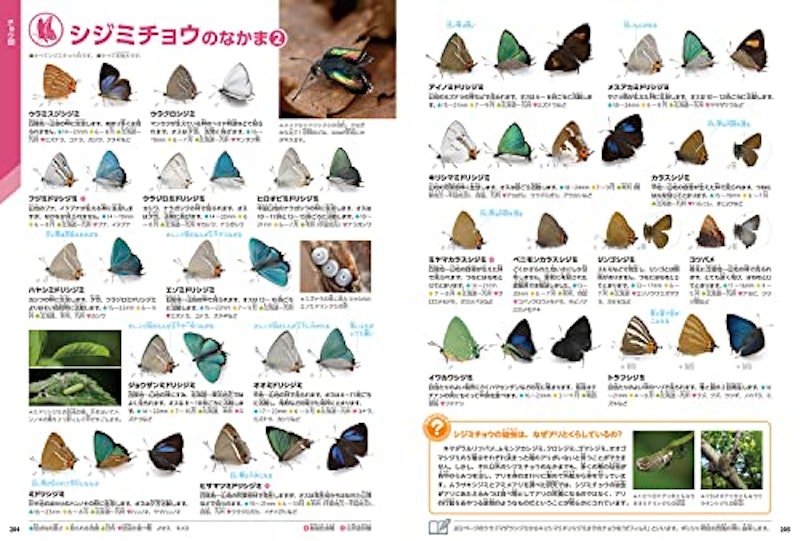 昆虫 新版 8