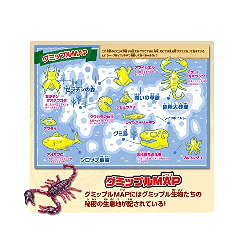 グミップルラボ 研究発表DX 5