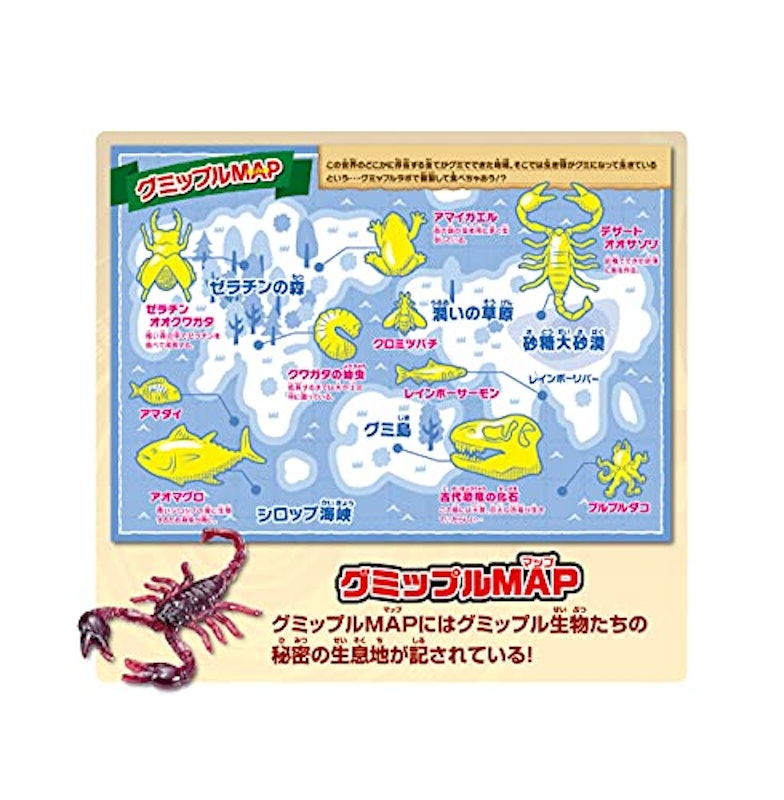 グミップルラボ 研究発表DX 5