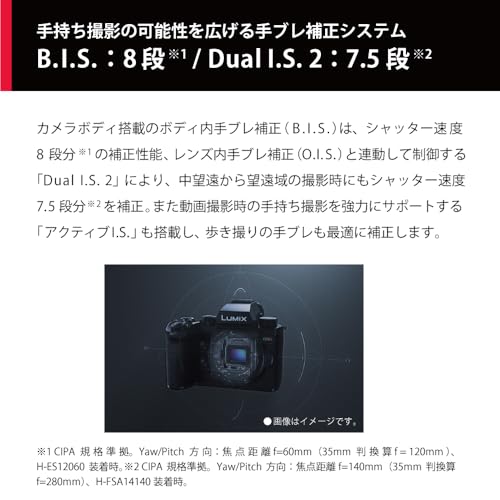 パナソニック LUMIX（ルミックス）のミラーレスのおすすめ人気