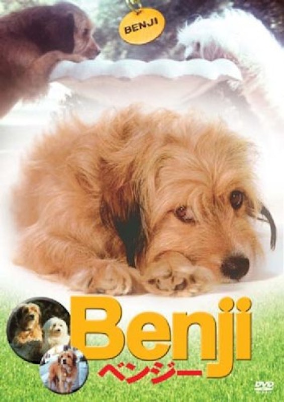 22年 犬映画のおすすめ人気ランキング49選 Mybest 22年 犬映画のおすすめ人気ランキング49選 Mybest