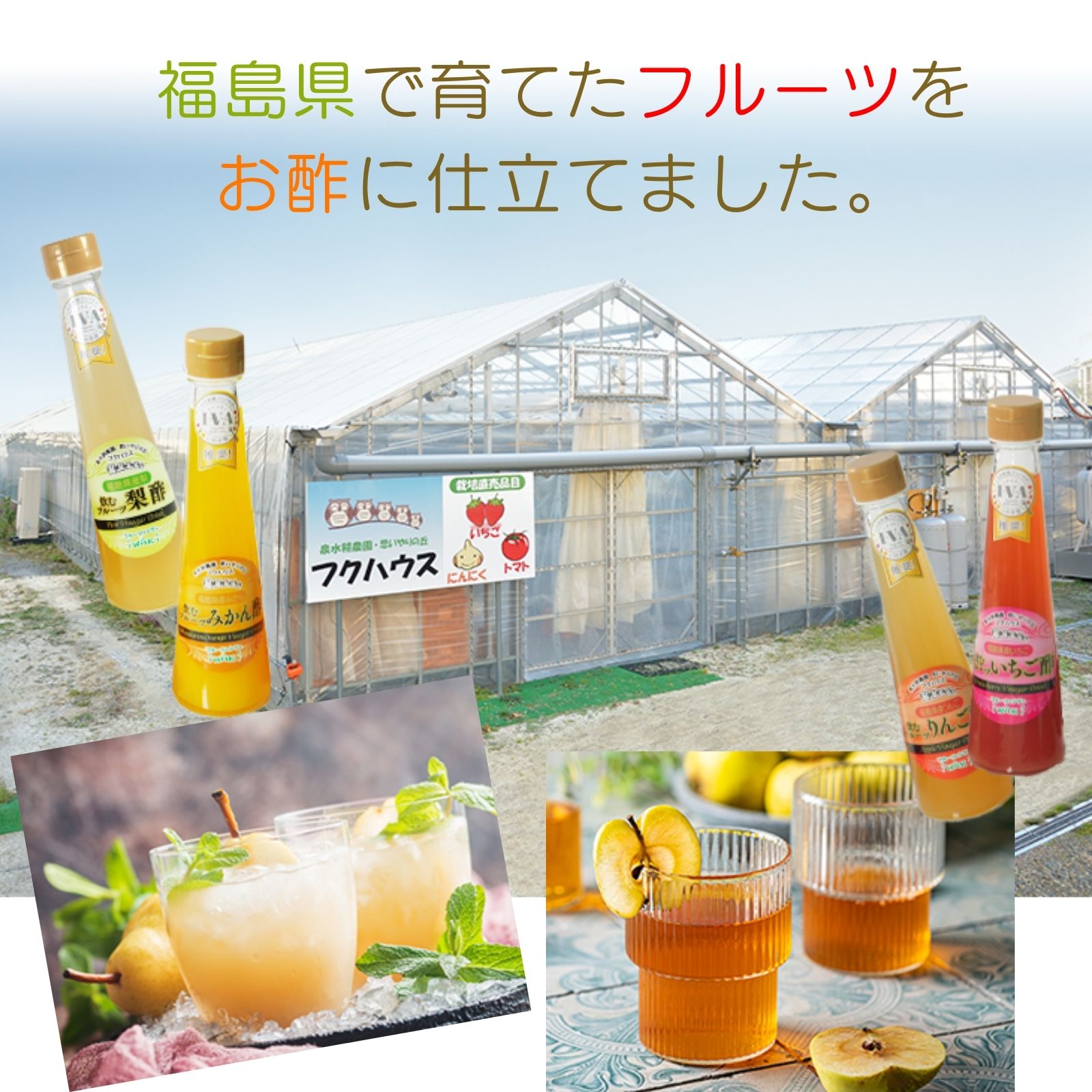 オール福島フルーツ酢選べる5本セット 5