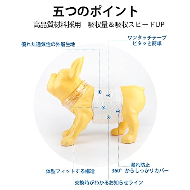 犬用おむつ 2
