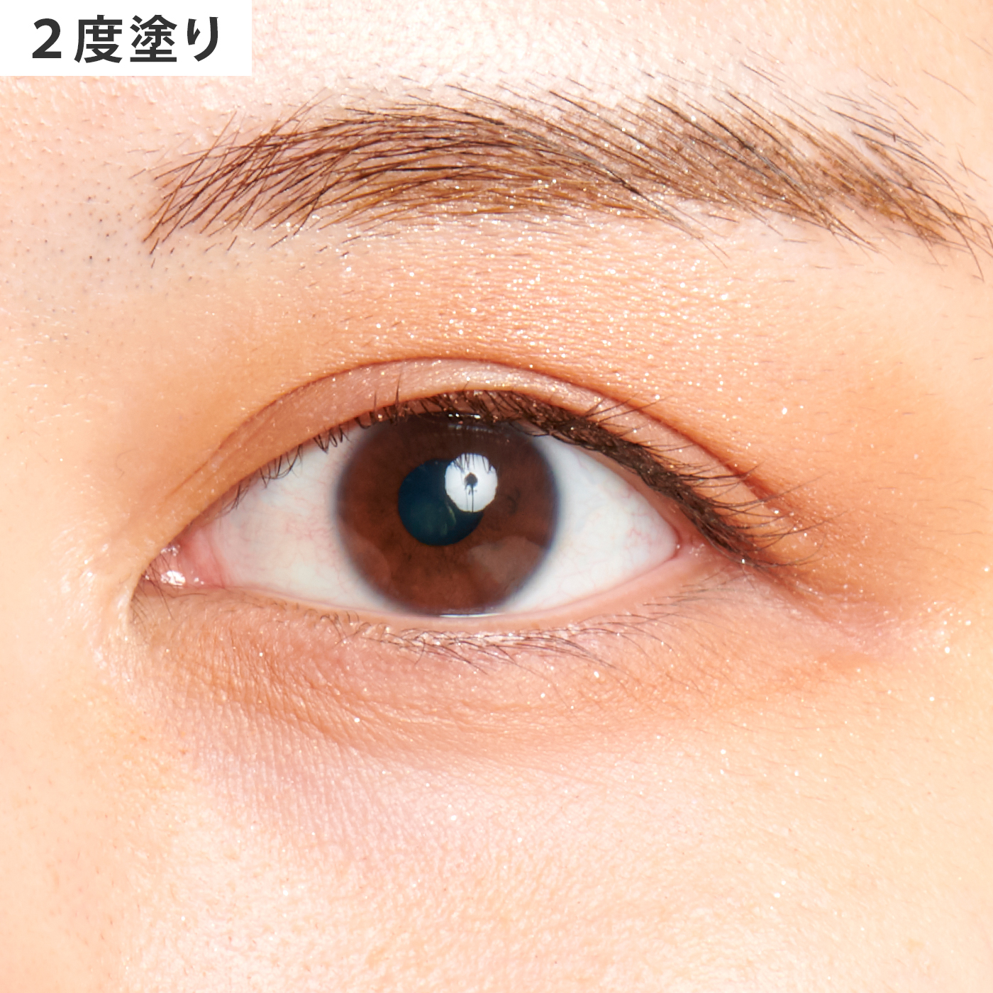 プロ アイ パレット 8