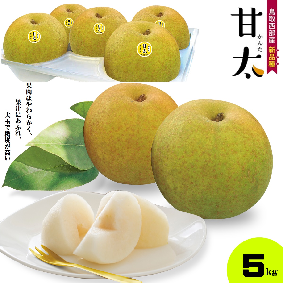 鳥取県産梨 甘太梨 1