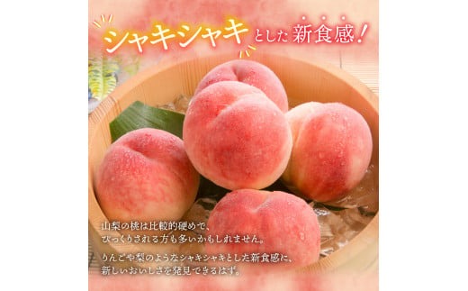4回お届けフルーツ定期便 5
