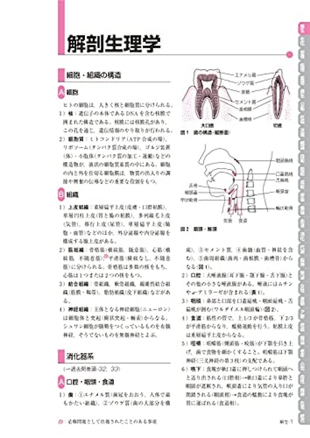 21年 看護師国家試験問題集のおすすめ人気ランキング13選 Mybest 21年 看護師国家試験問題集のおすすめ人気ランキング13選 Mybest