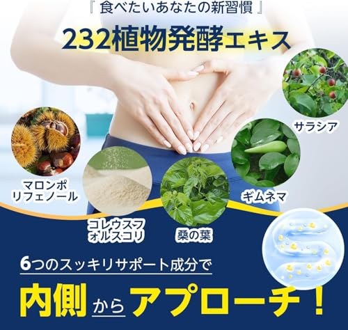 キラリ麹の炭クレンズ生酵素 3袋セット （キラリ麹の炭クレンズ