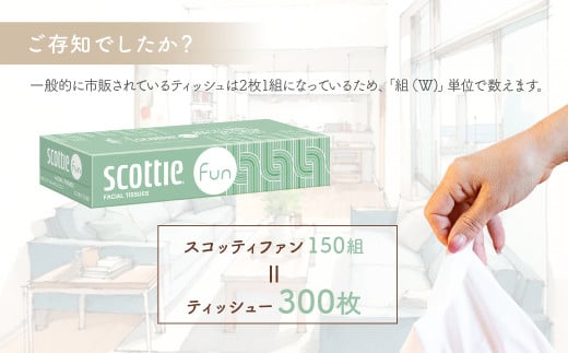 スコッティ ティシュー ファン 8