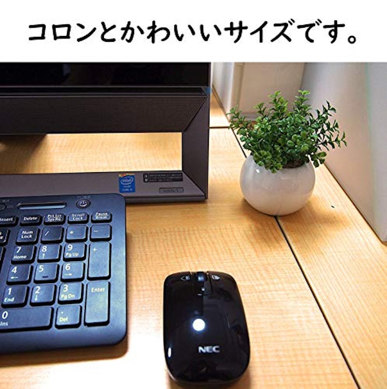 ミニ インテリアグリーン 3