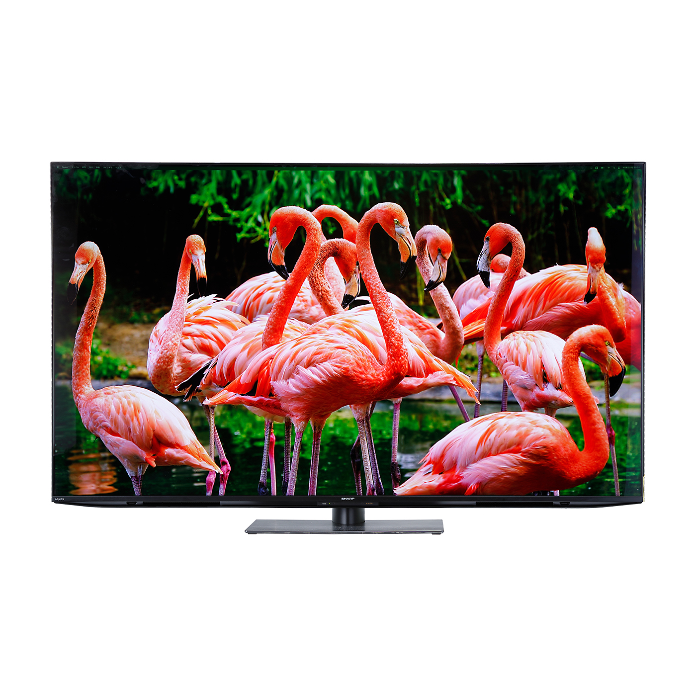徹底比較】シャープ AQUOS（アクオス）の65インチテレビのおすすめ人気