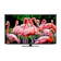 シャープ 4K液晶テレビ EU1ライン 1
