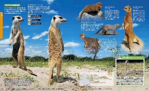 21年 動物 図鑑のおすすめ人気ランキング10選 Mybest