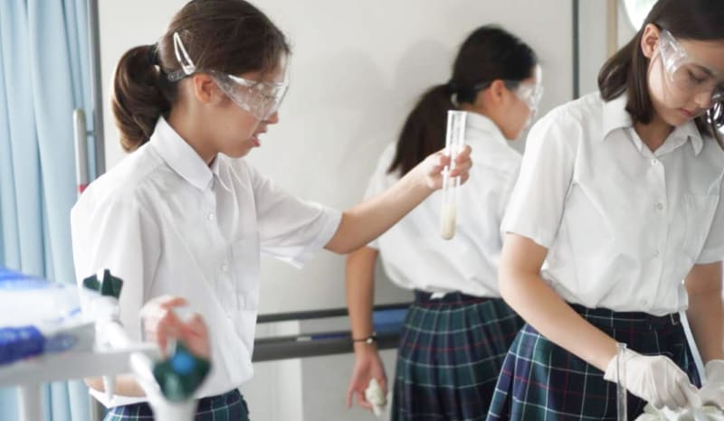 東京都内のインターナショナルスクールのおすすめ人気ランキング11選 Mybest