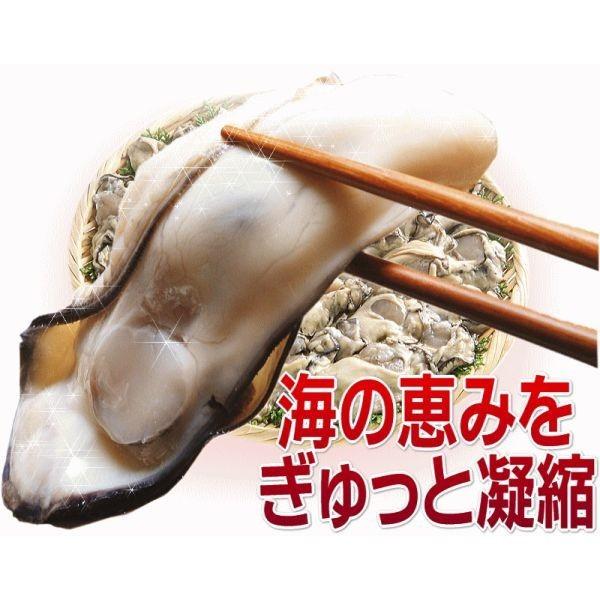  牡蠣 5