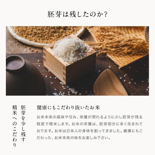 くまさんの輝き 3