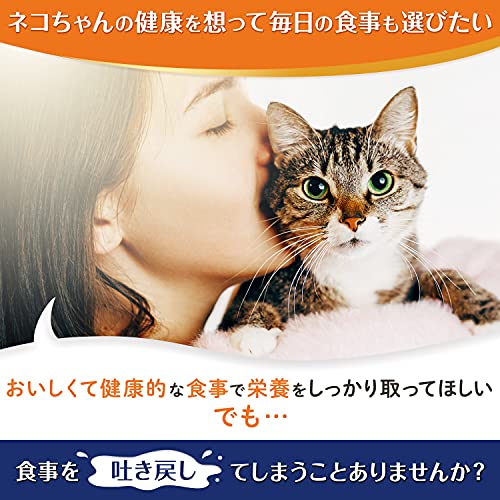 シニア猫用キャットフードのおすすめ人気ランキング44選【2024年 