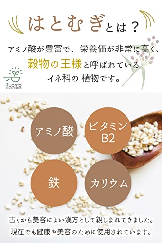 富山県産 はとむぎ茶 2