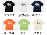 ステューシーのメンズTシャツのおすすめ人気ランキング【2026年6月】 4