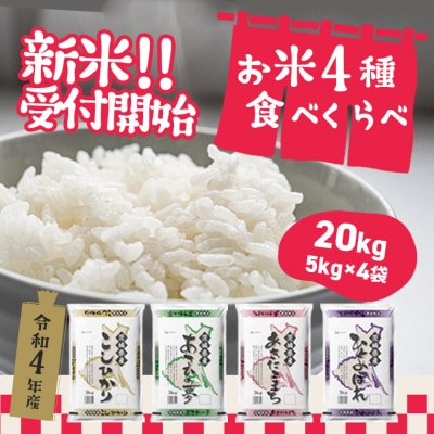 お米4種食べくらべ 1