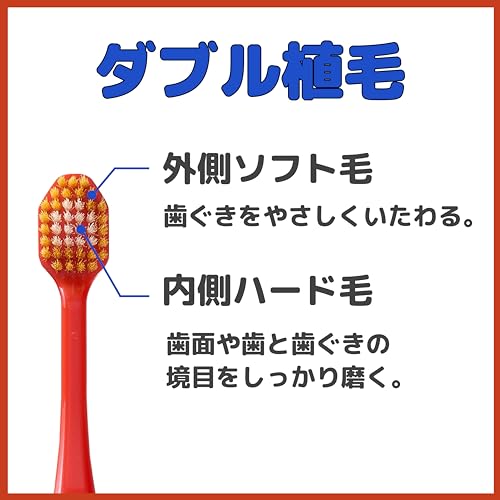 6列レギュラー 8