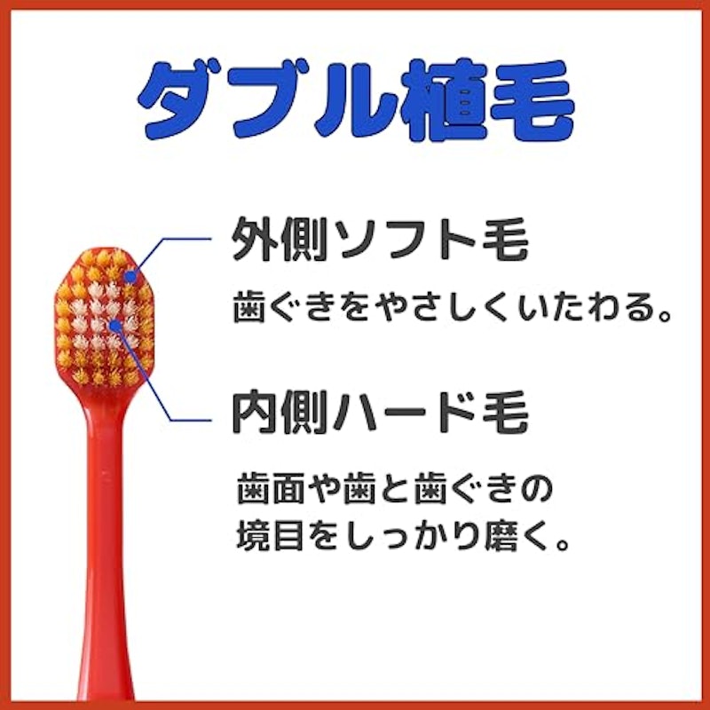 6列レギュラー 8