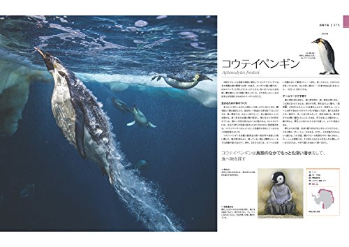 驚くべき世界の野生動物生態図鑑 11