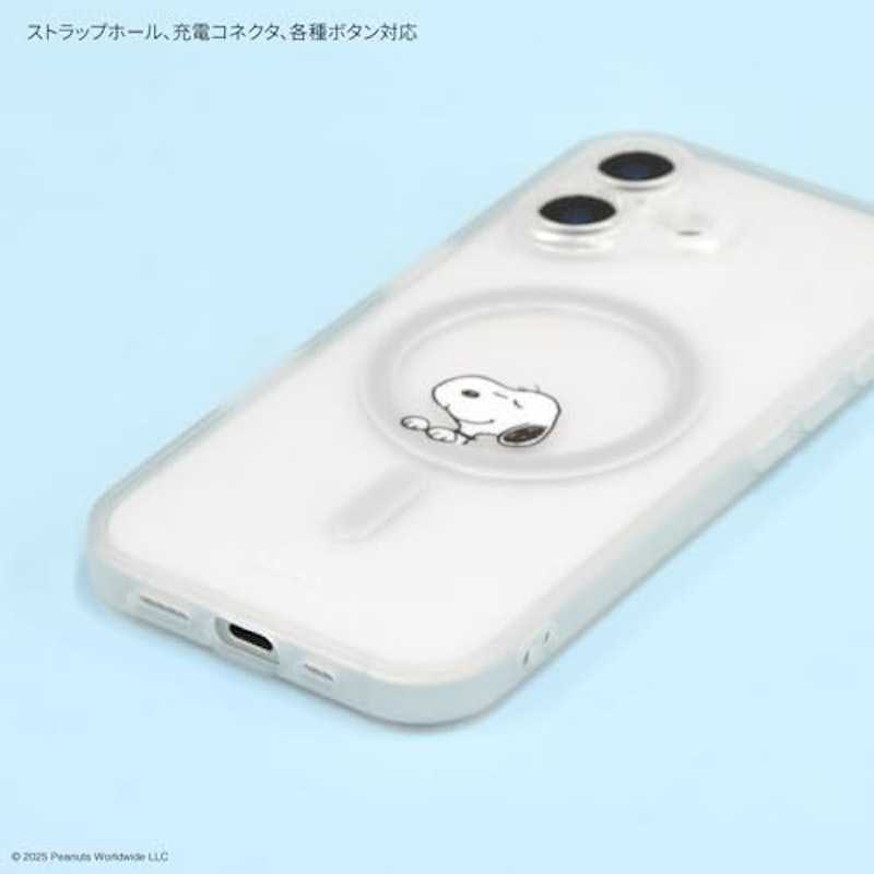 プランプフレームケース 3