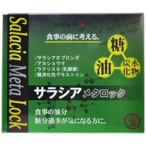 リケン サラシアメタロック 1