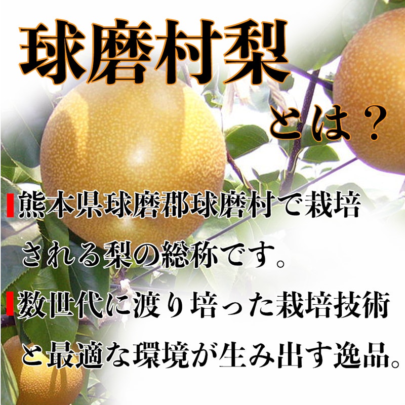 一勝地 梨 2