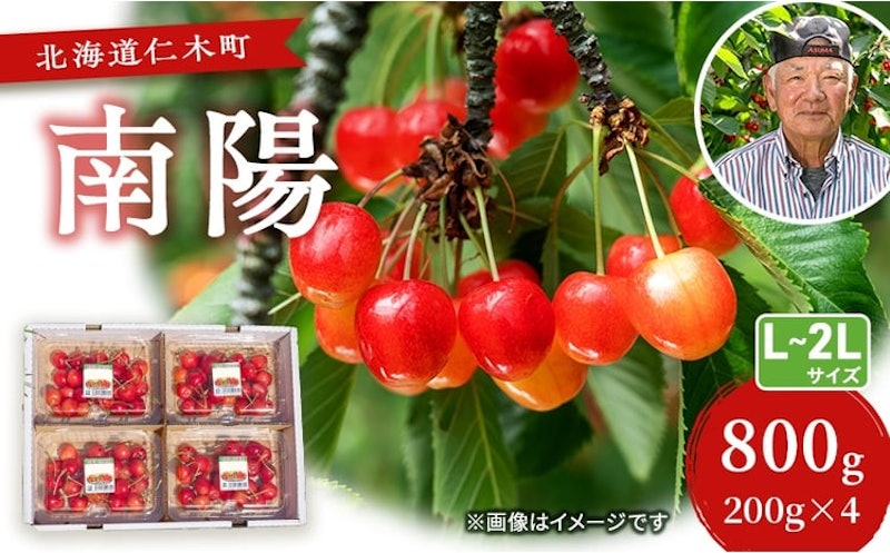 さくらんぼ 南陽 1