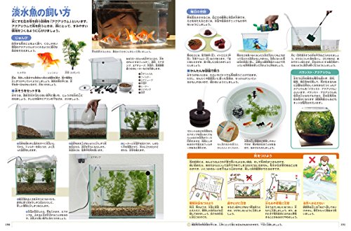 小学館の図鑑NEO 新版 魚 5
