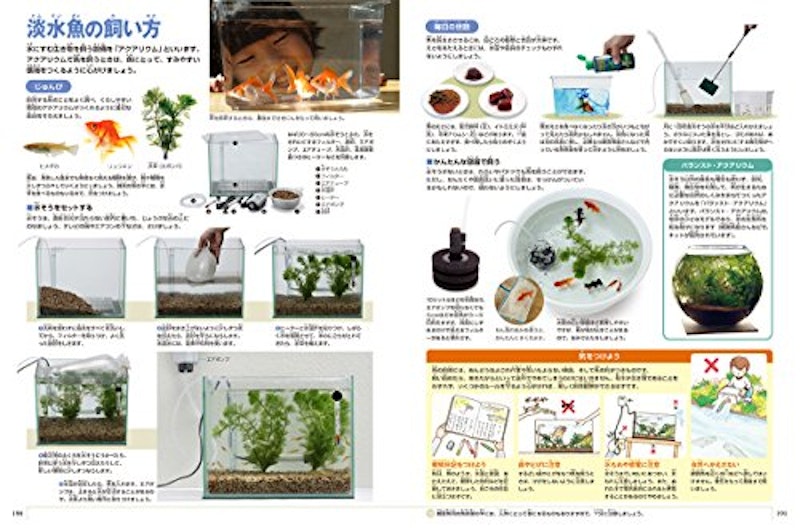 小学館の図鑑NEO 新版 魚 5