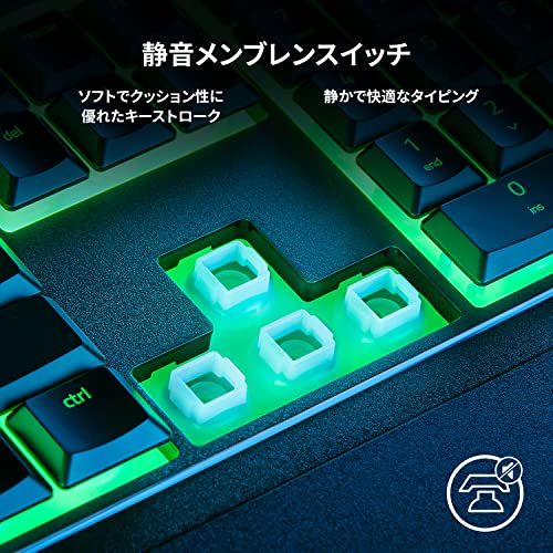 Ornata V3 X  3